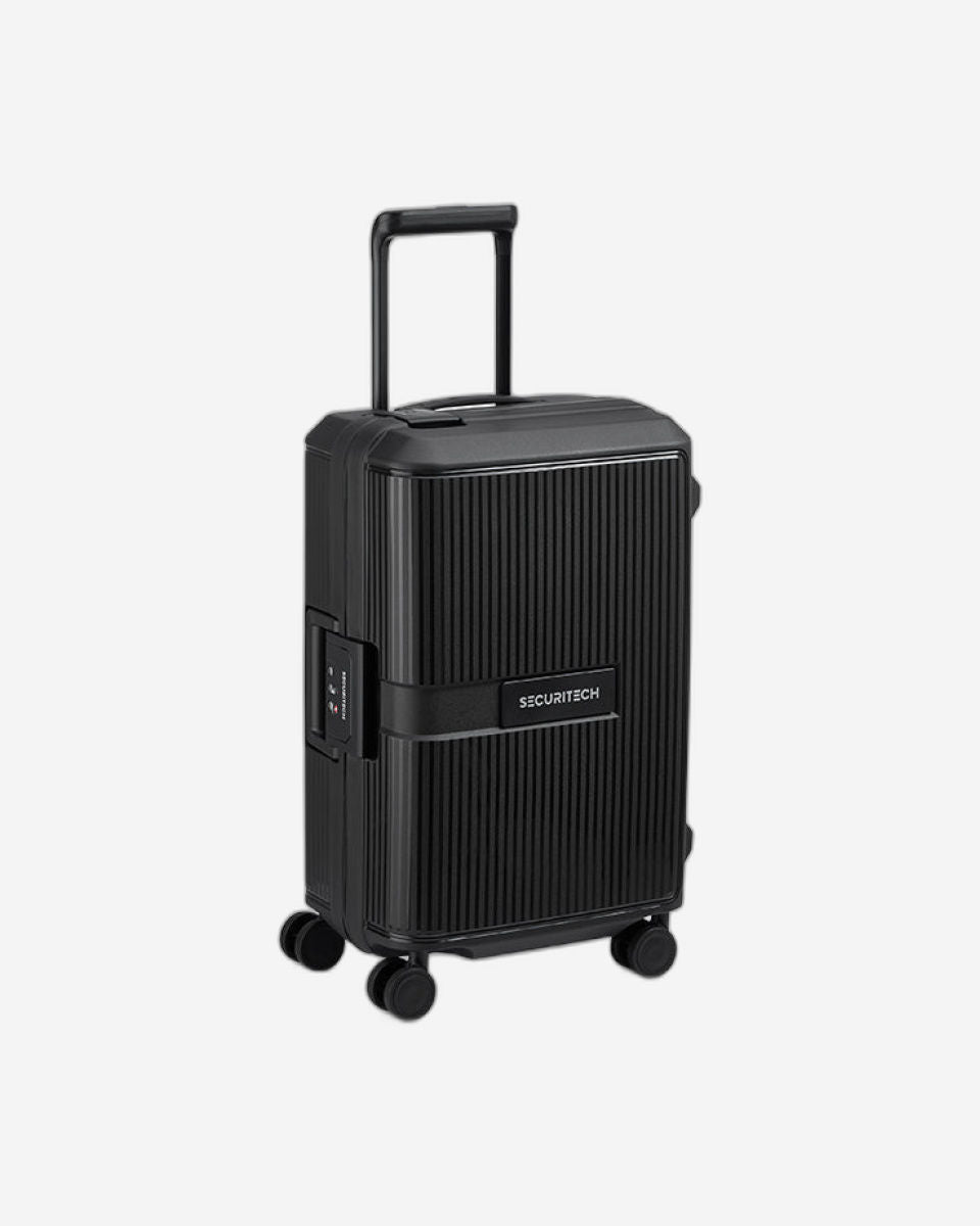 Delsey Paris Securitech Stone Luggage