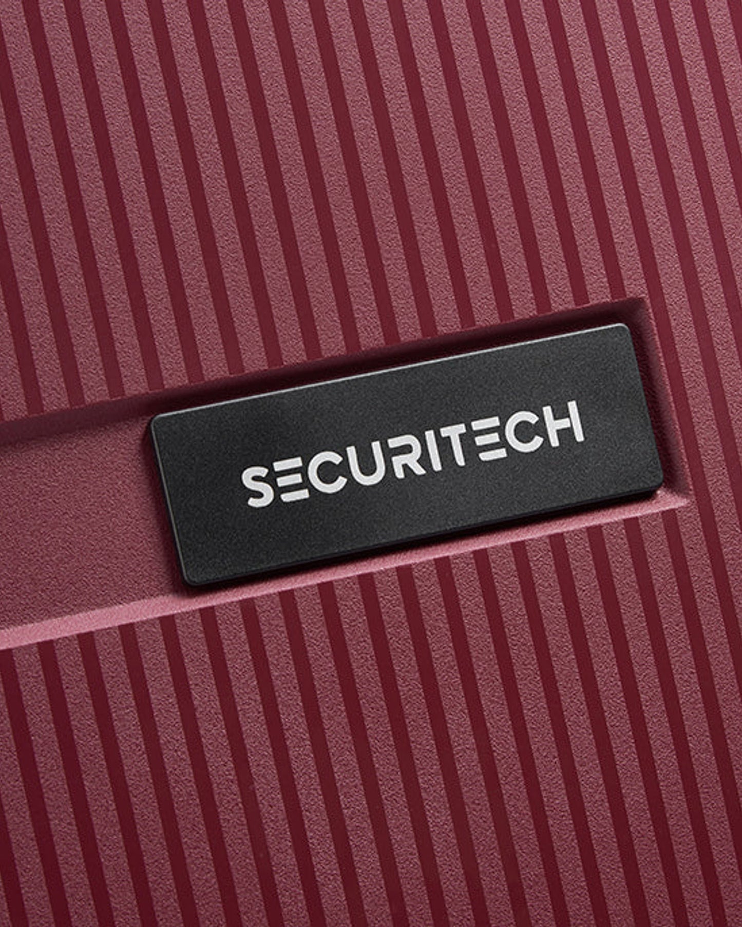 Delsey Paris Securitech Stone Luggage