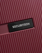 Delsey Paris Stone Hardcase 4Double Wheel  Trolley  Case