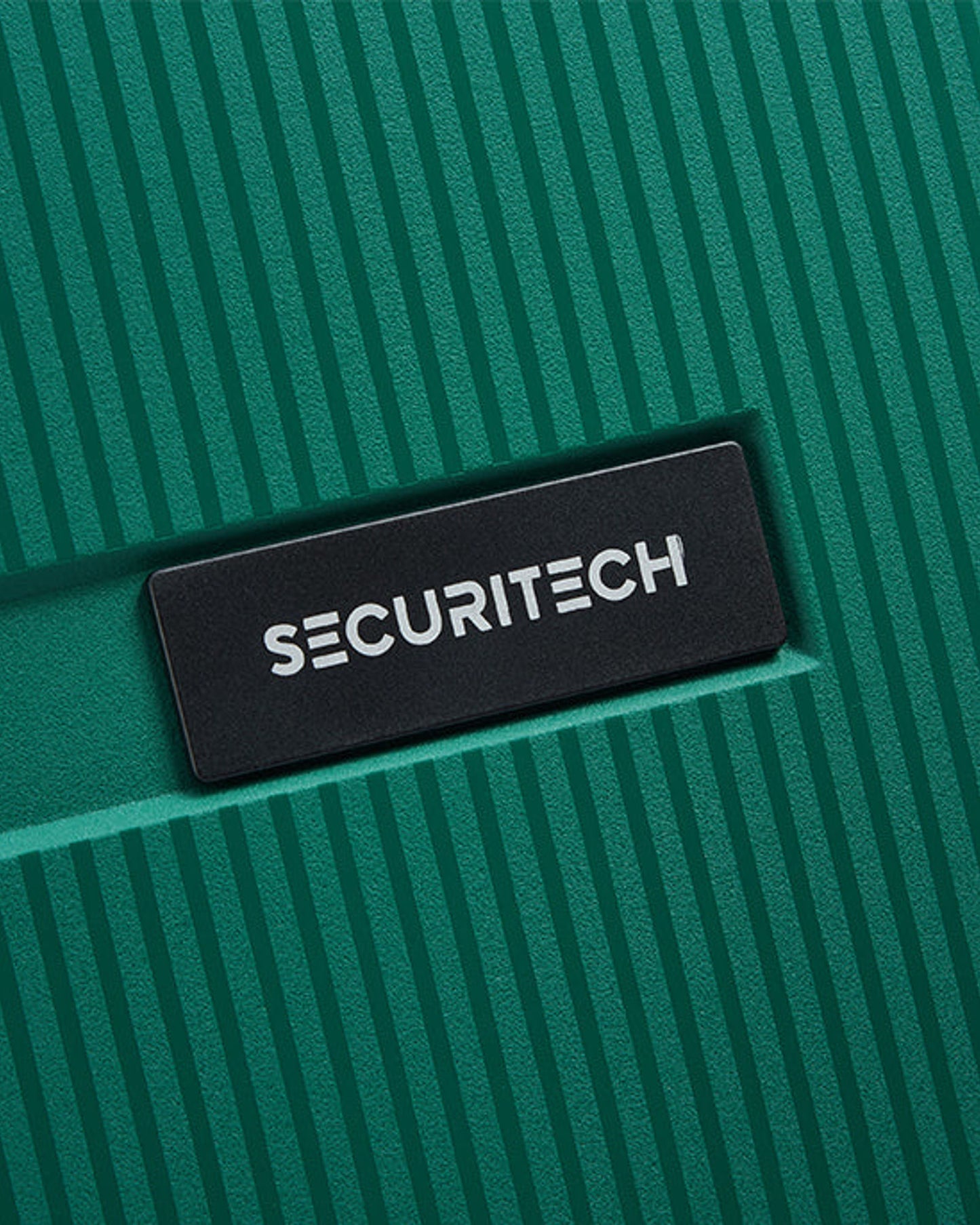 Delsey Paris Securitech Stone Luggage