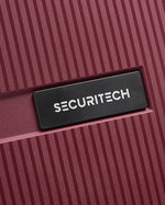 Delsey Paris Stone Hardcase 4Double Wheel  Trolley  Case