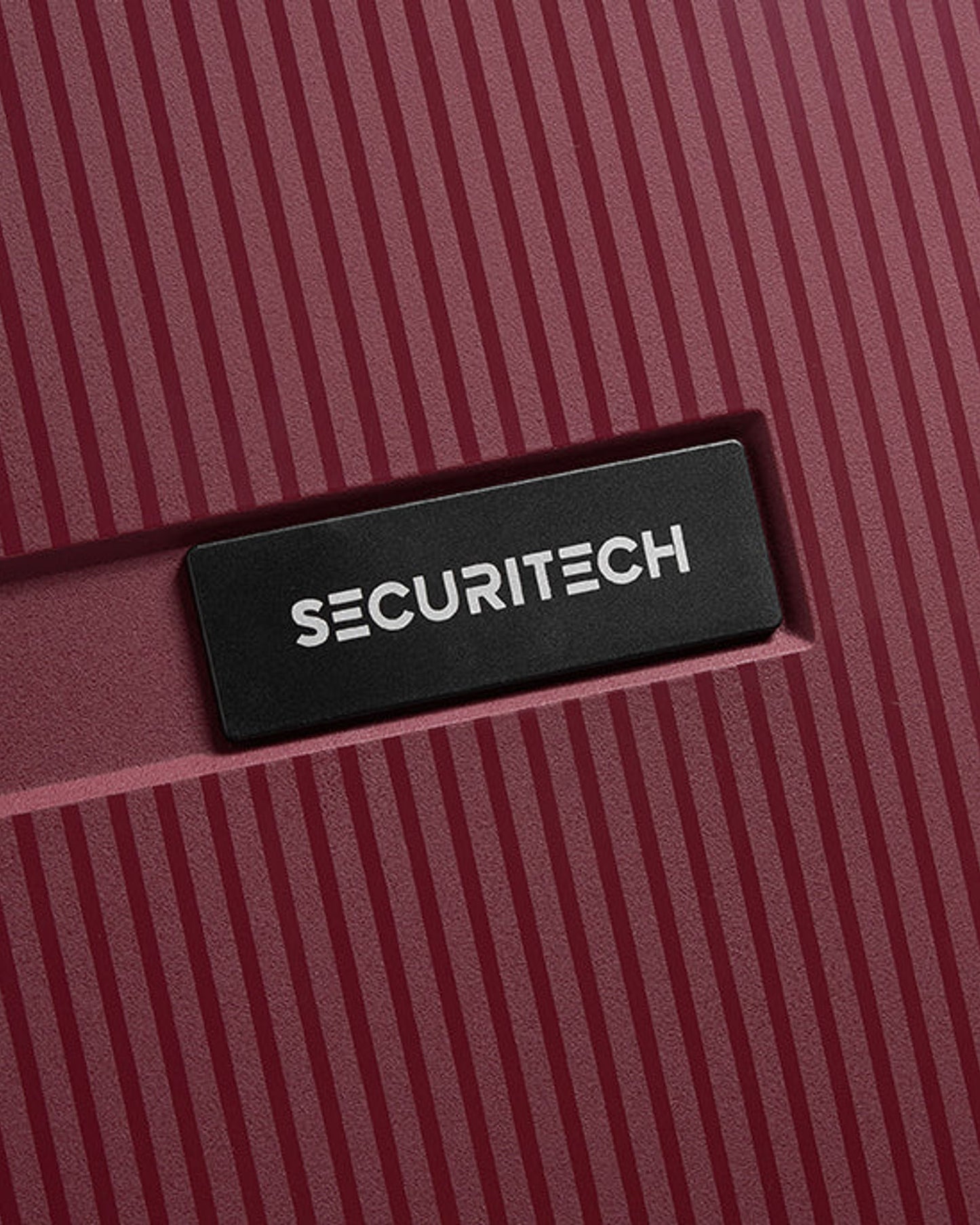 Delsey Paris Securitech Stone Luggage