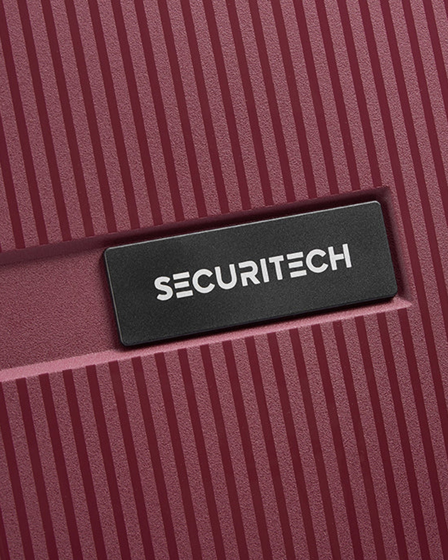 Delsey Paris Securitech Stone Luggage