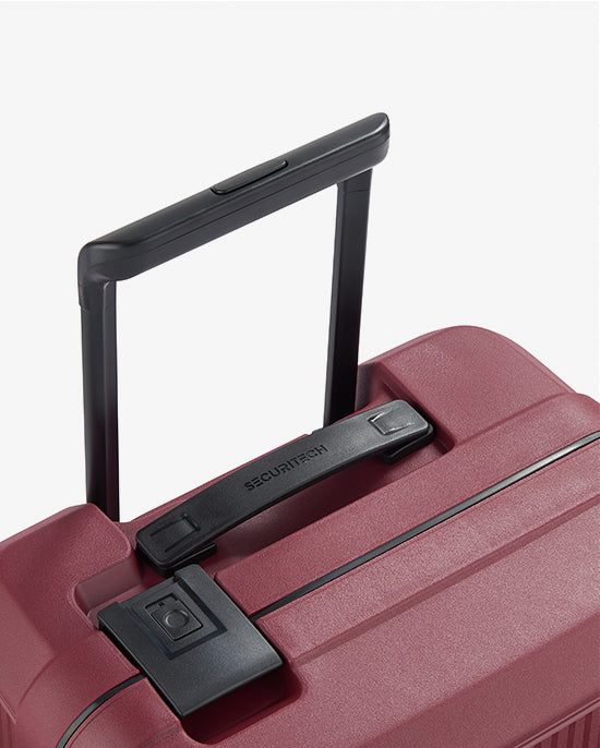 Delsey Paris Stone Hardcase 4Double Wheel  Trolley  Case