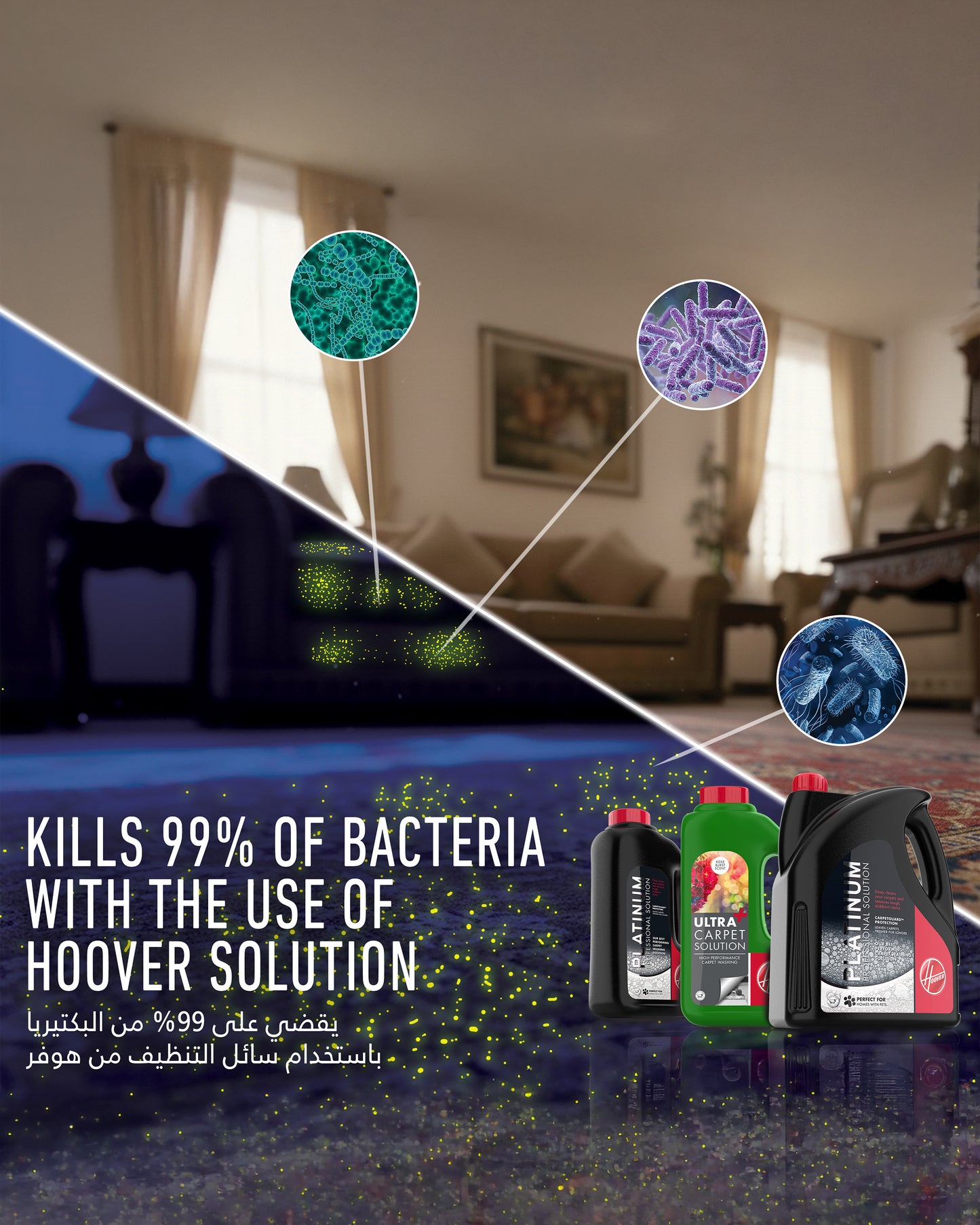 Hoover Brush N Wash Carpet Washer