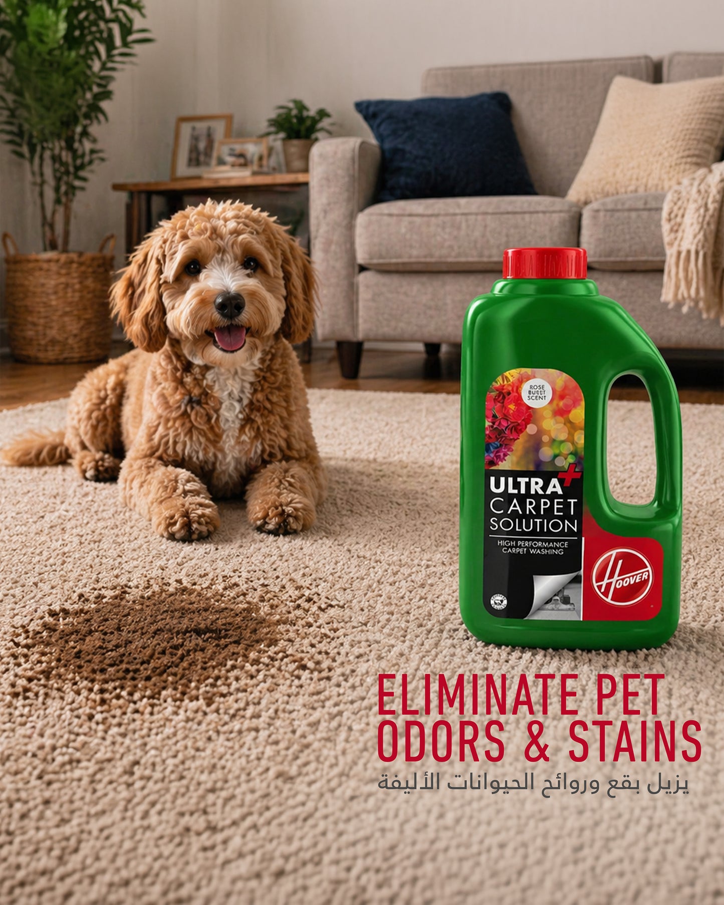 Hoover 1.5L Ultra Carpet Solution