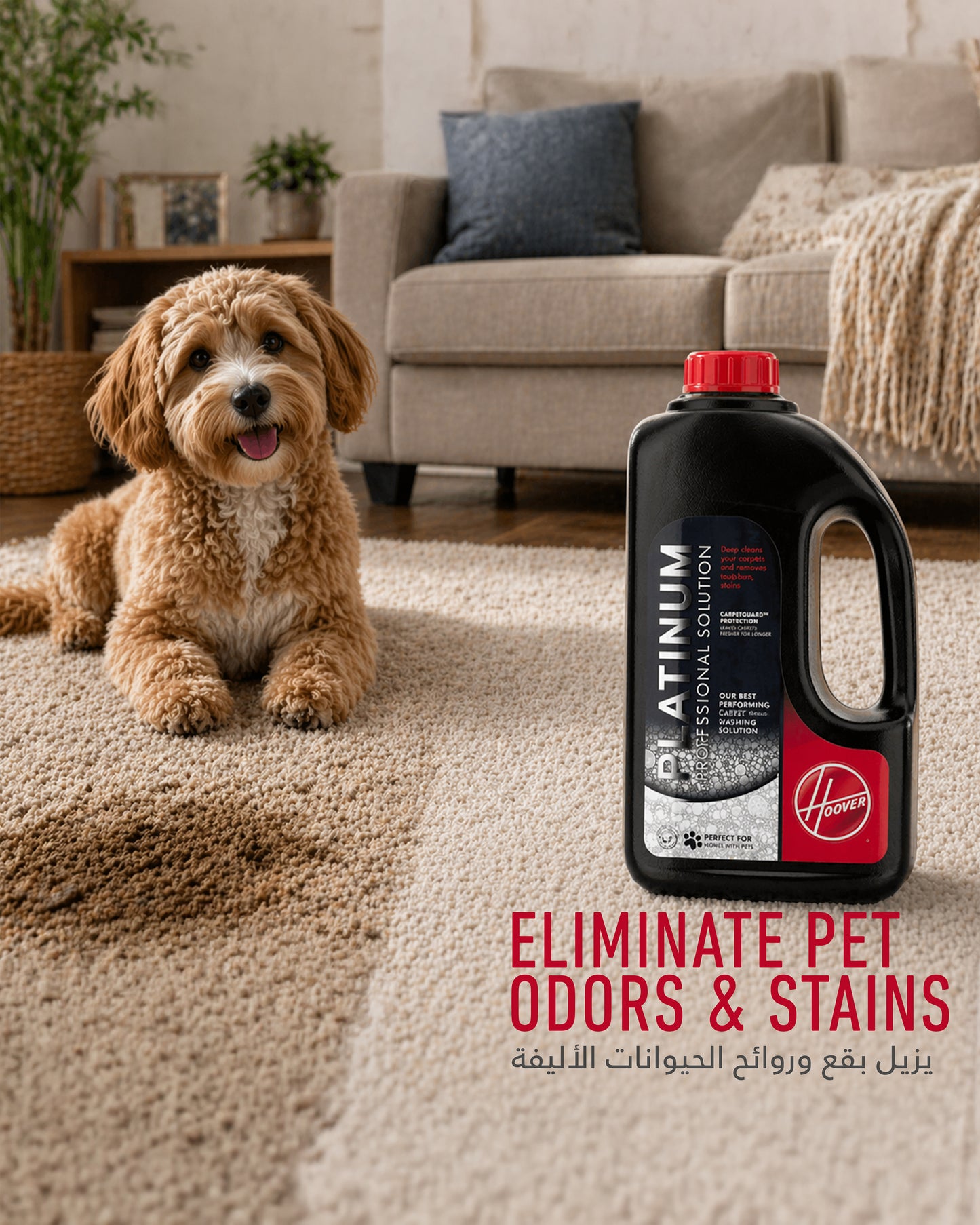 Hoover 1.5L Platinum Professional Solution