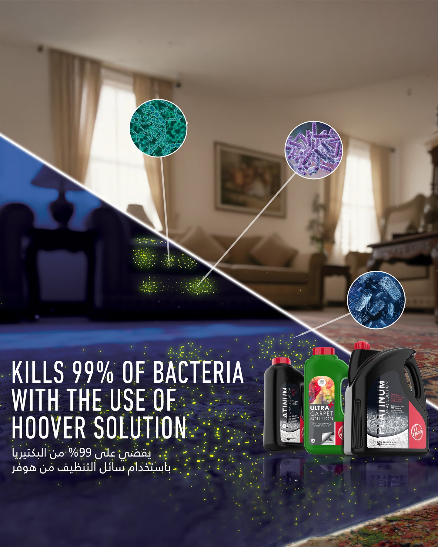 Hoover Powerscrub Xl Carpet Washer