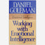 Working With Emotional Intelligence