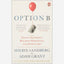 Option B