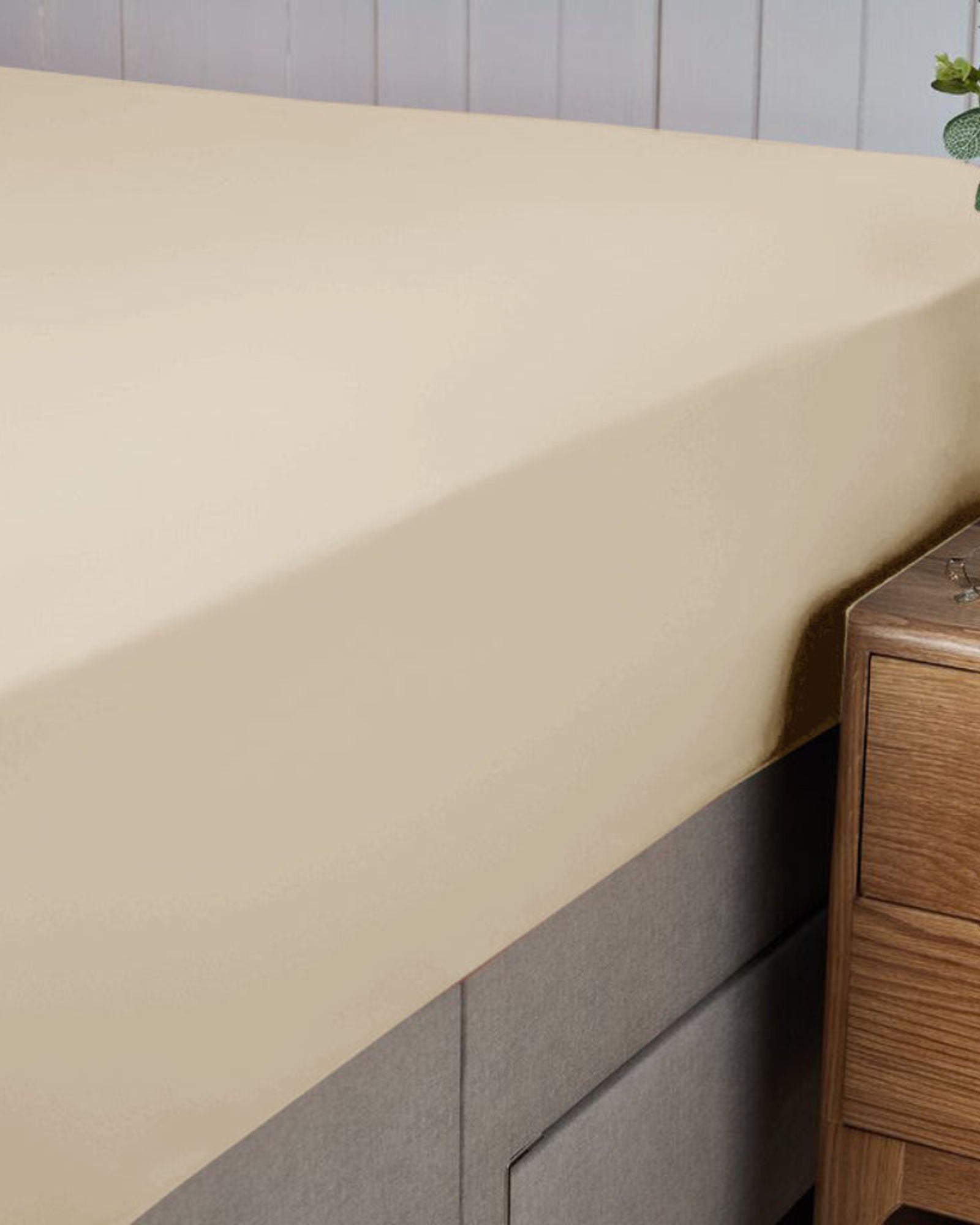 Cotton Home Premium Cotton Beige Fitted Sheet Set - 1 Fitted Sheet with 1 Pillowcase