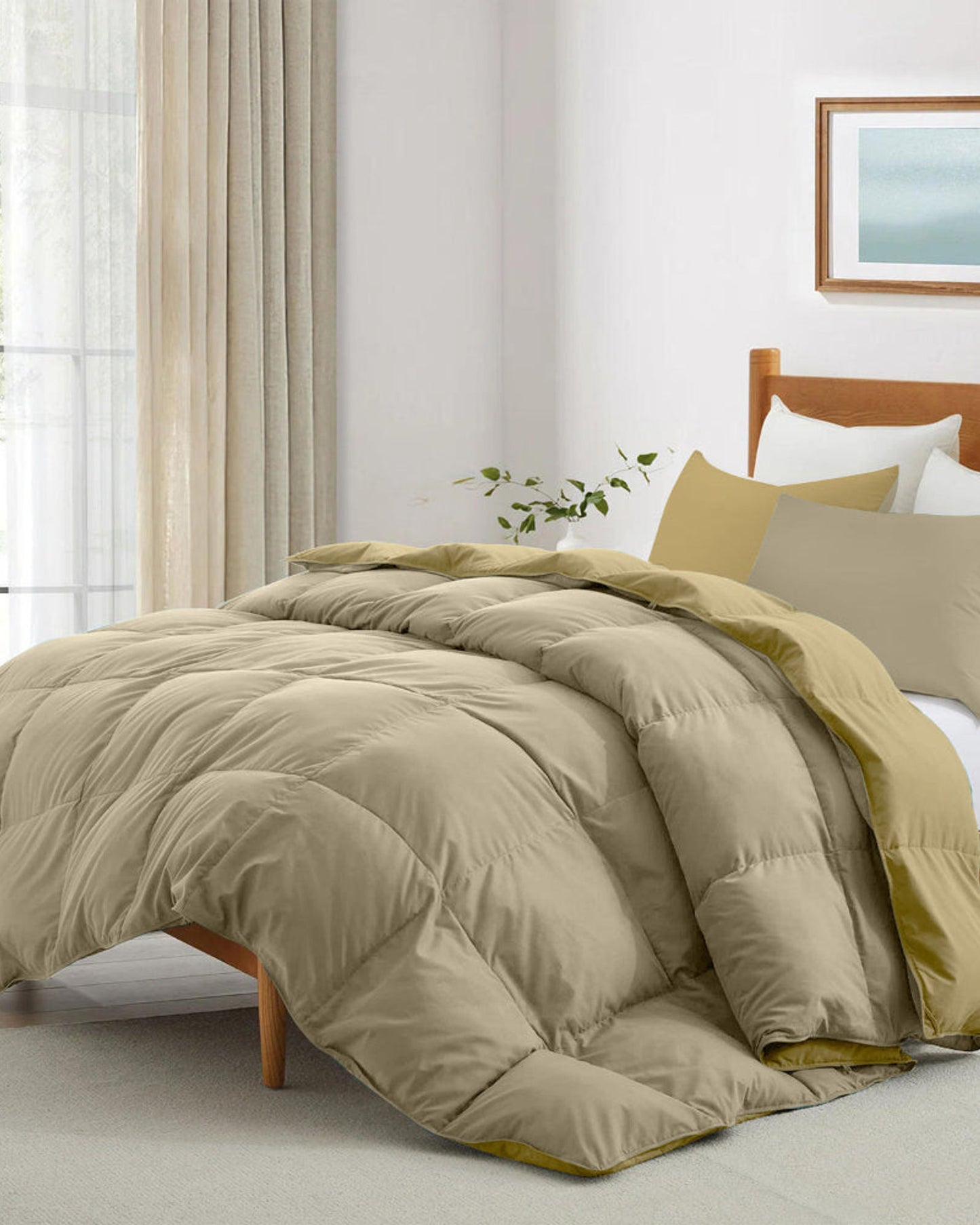 Cotton Home Comforter Set 3Pc Beige