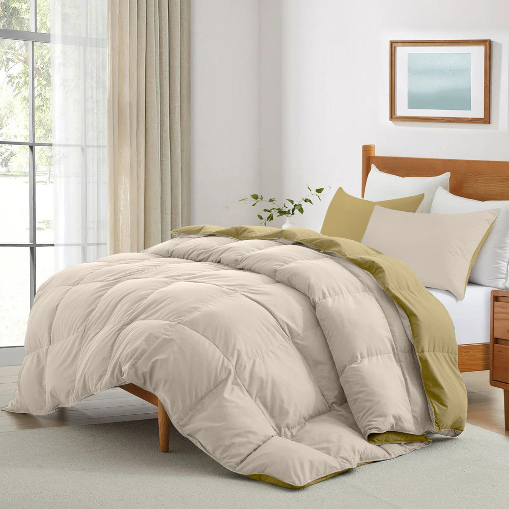 Cotton Home Adult 3-piece Set Reversible Comforter Dark Beige