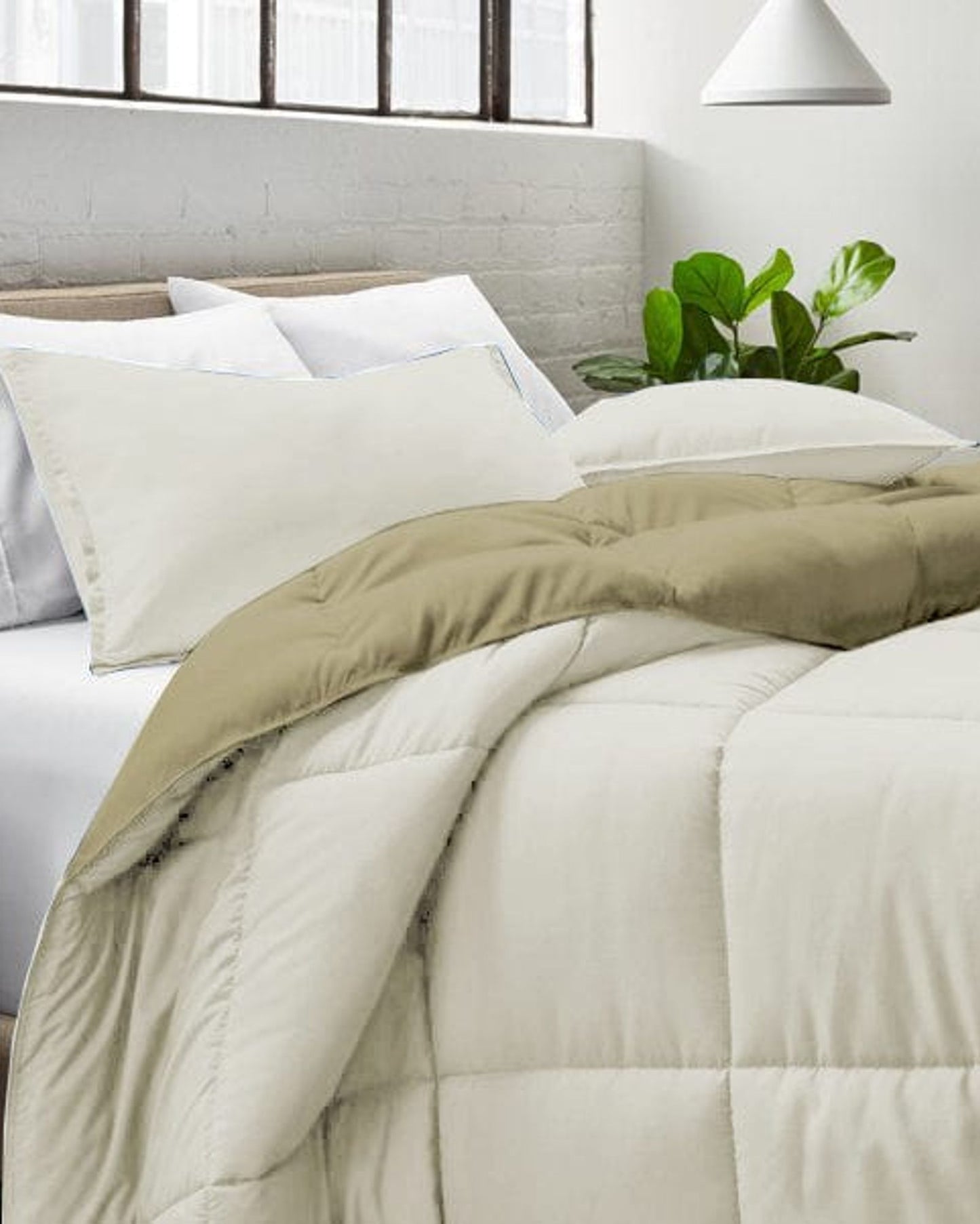 Cotton Home Comforter Set 3Pc Ivory
