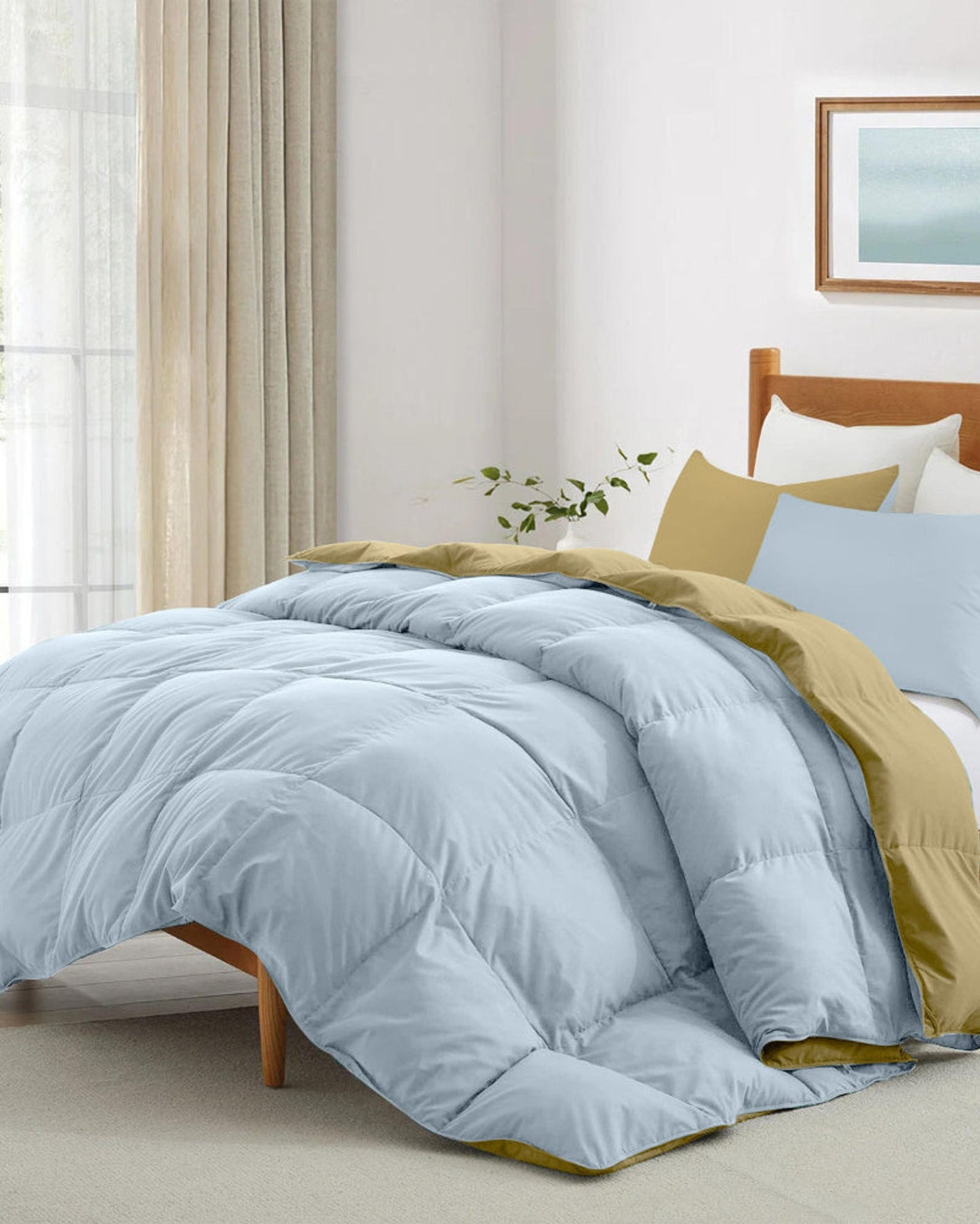 Cotton Home Comforter Set 3Pc Sky Blue