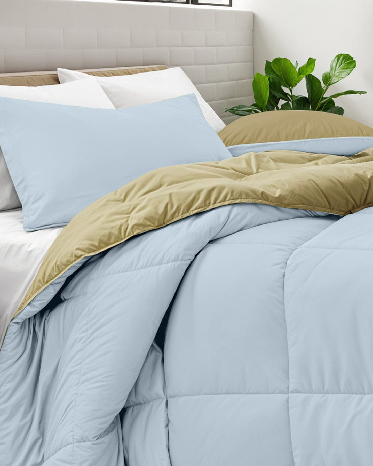Cotton Home Comforter Set 3Pc Sky Blue