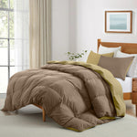 Cotton Home Comforter Set 3Pc Golden