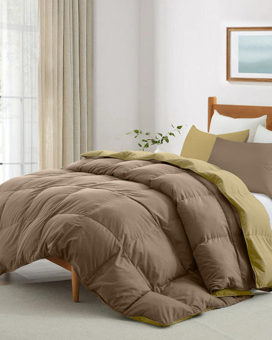 Cotton Home Adult 3-piece Set Reversible Comforter Golden