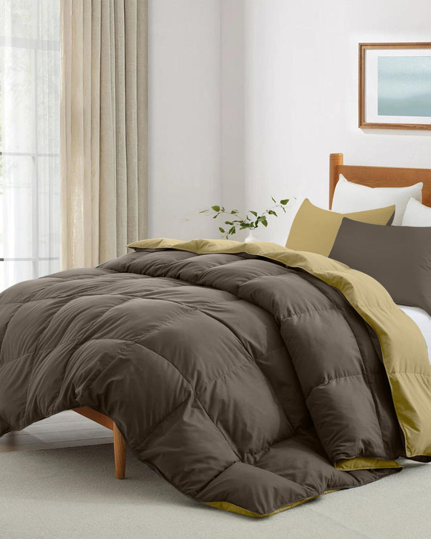 Cotton Home Comforter Set 3Pc Chocolate Brown