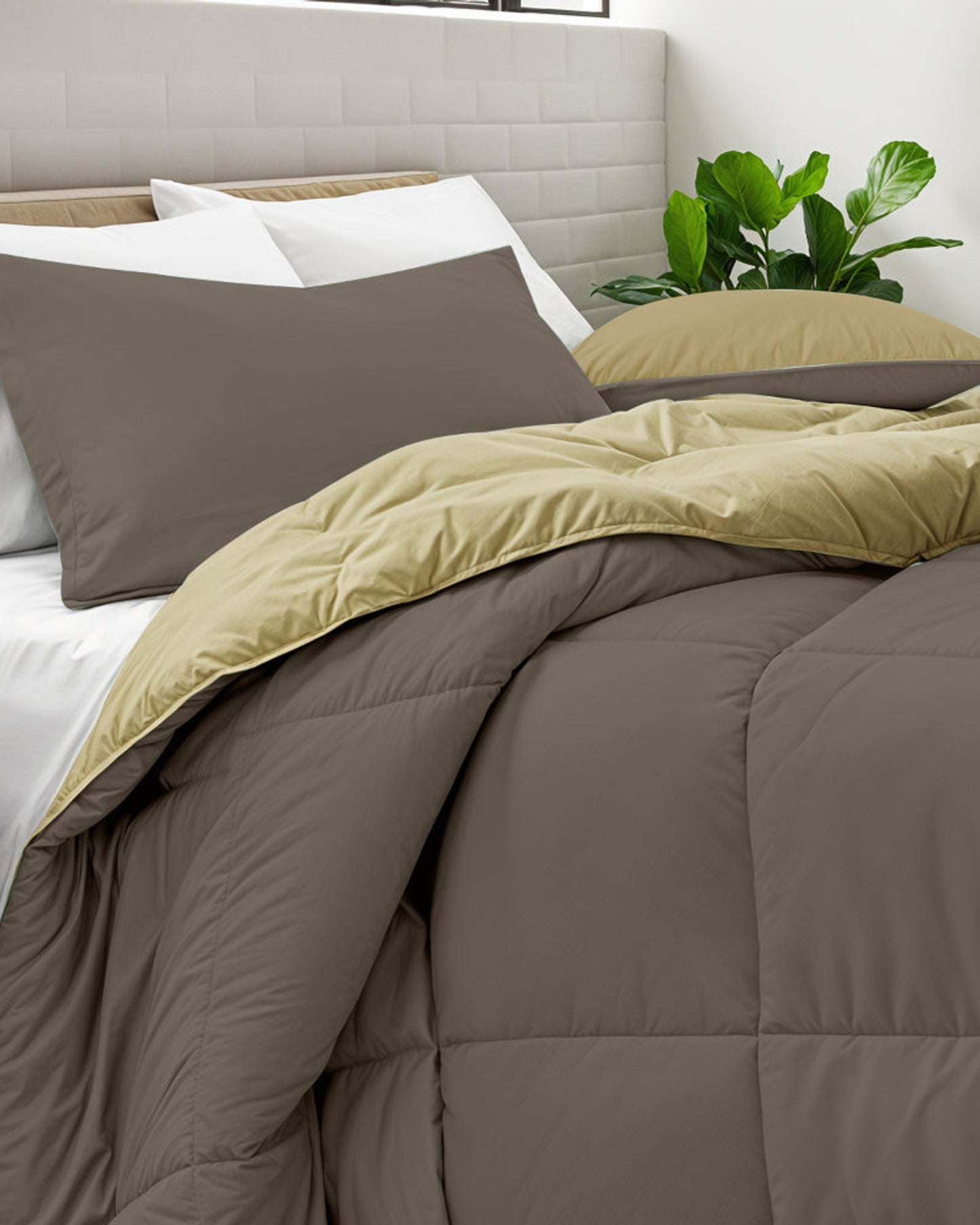 Cotton Home Comforter Set 3Pc Chocolate Brown
