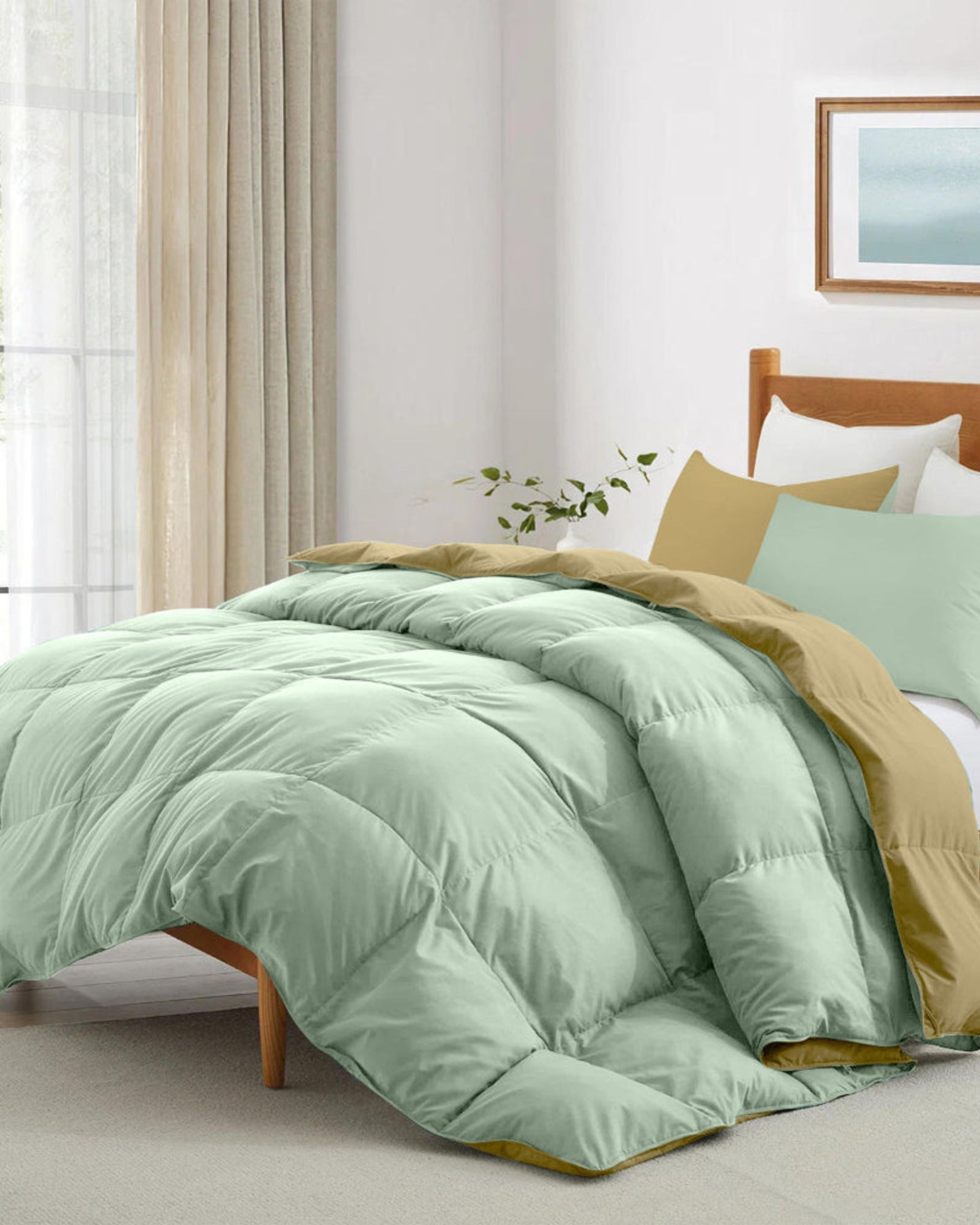 Cotton Home Adult 3-piece Set Reversible Comforter Mint