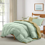 Cotton Home Comforter Set 3Pc Mint
