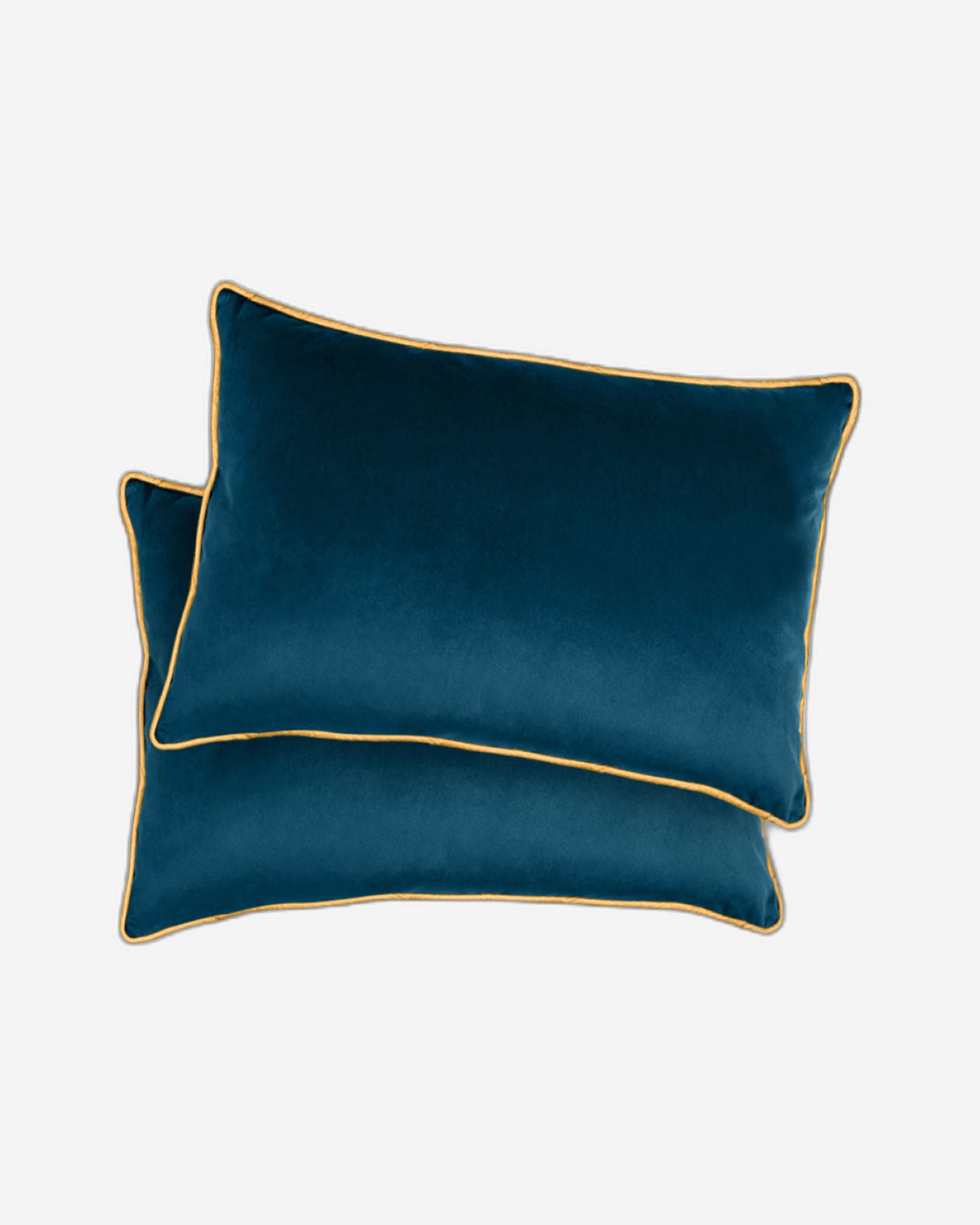 Cotton Home Cushion 2Pc Velvet