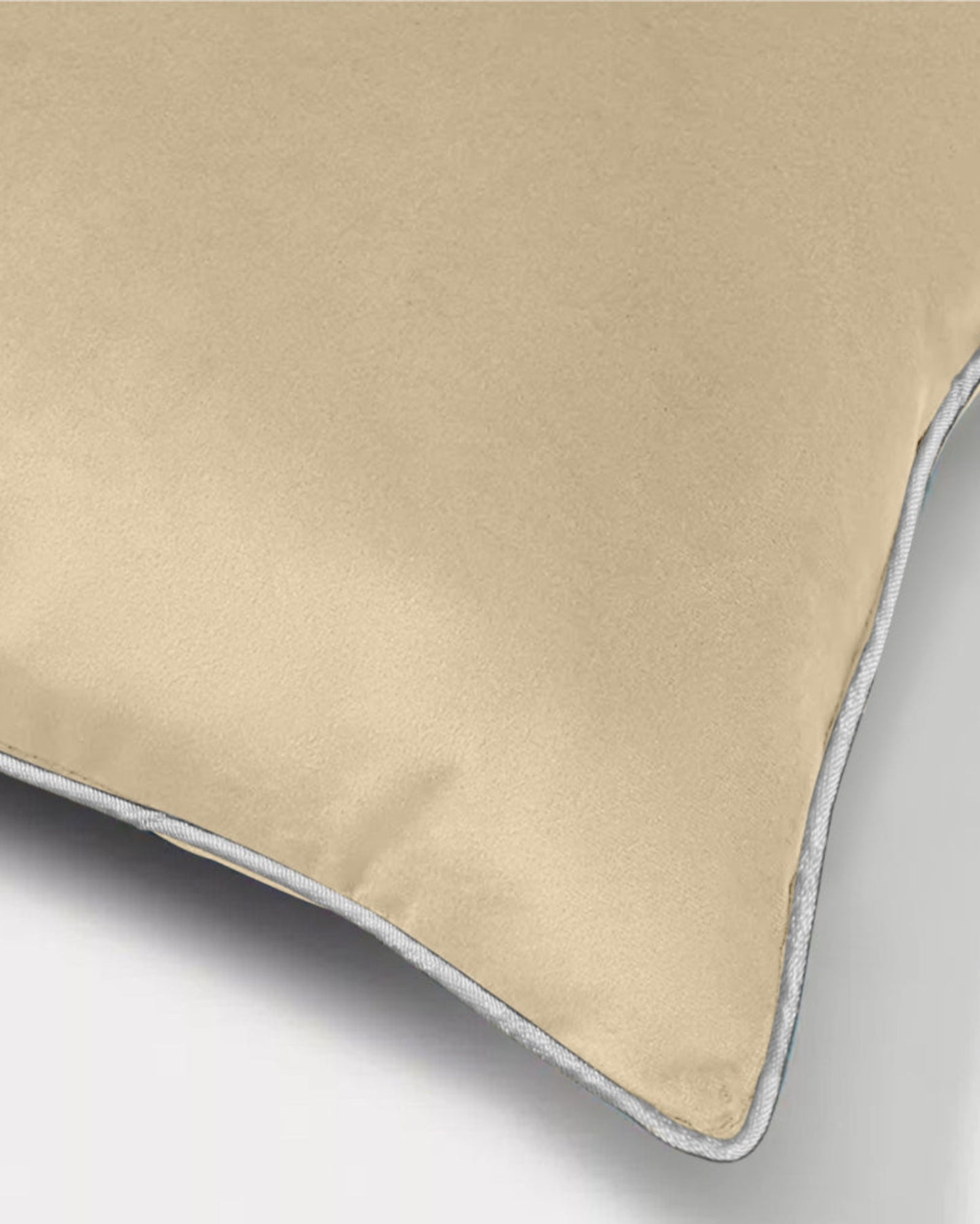 Cotton Home Cushion 2Pc Velvet