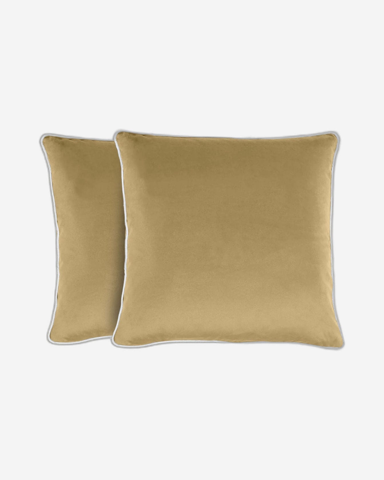 Cotton Home Cushion 2Pc Velvet