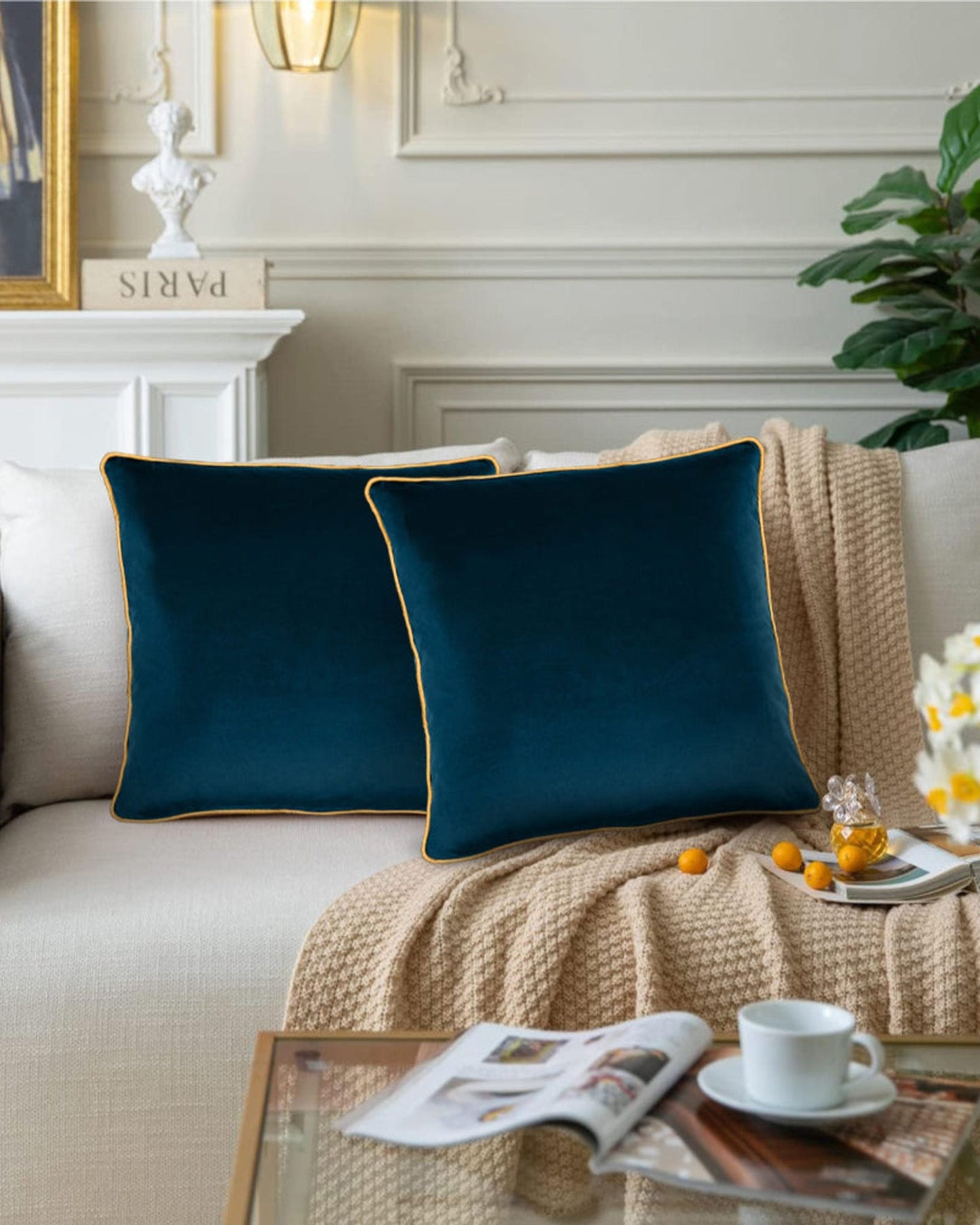 Cotton Home Cushion 2Pc Velvet