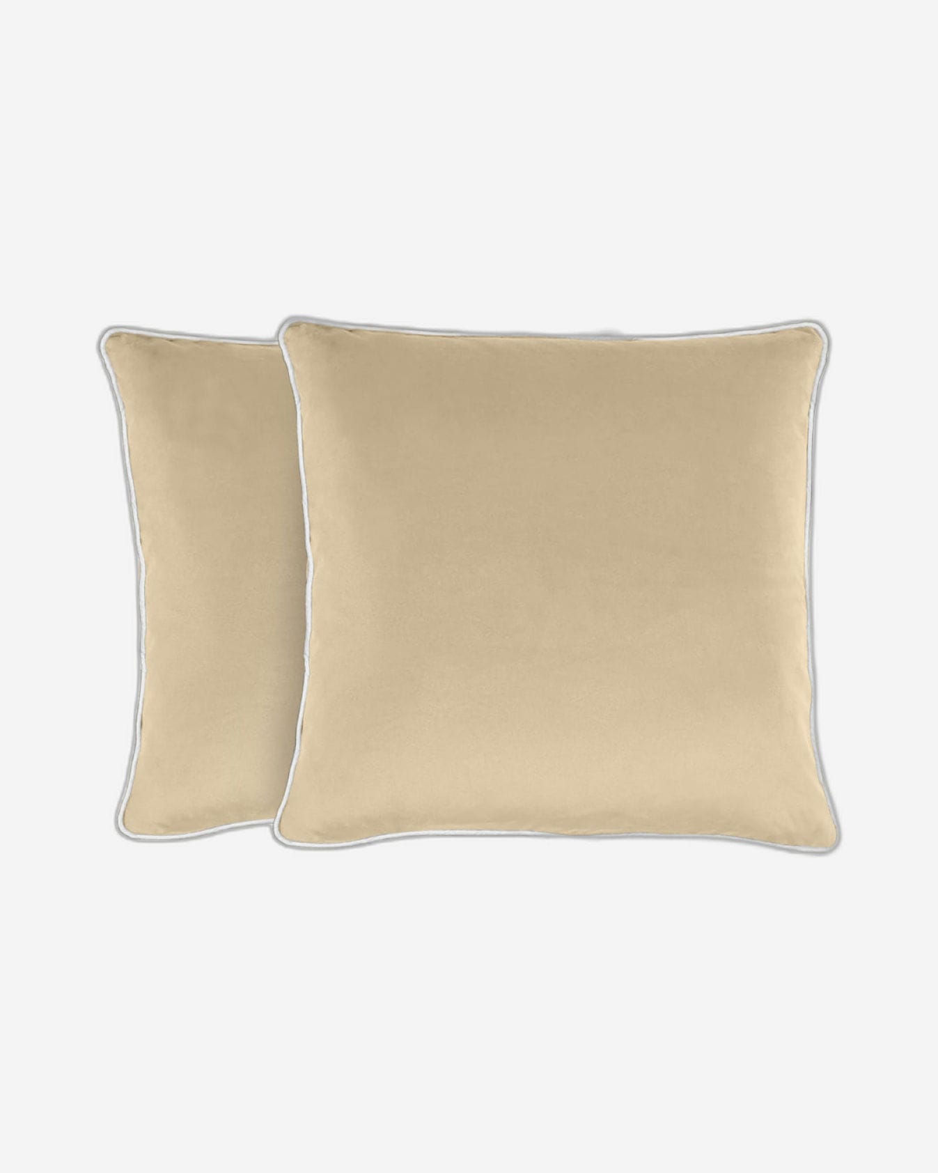 Cotton Home Cushion 2Pc Velvet