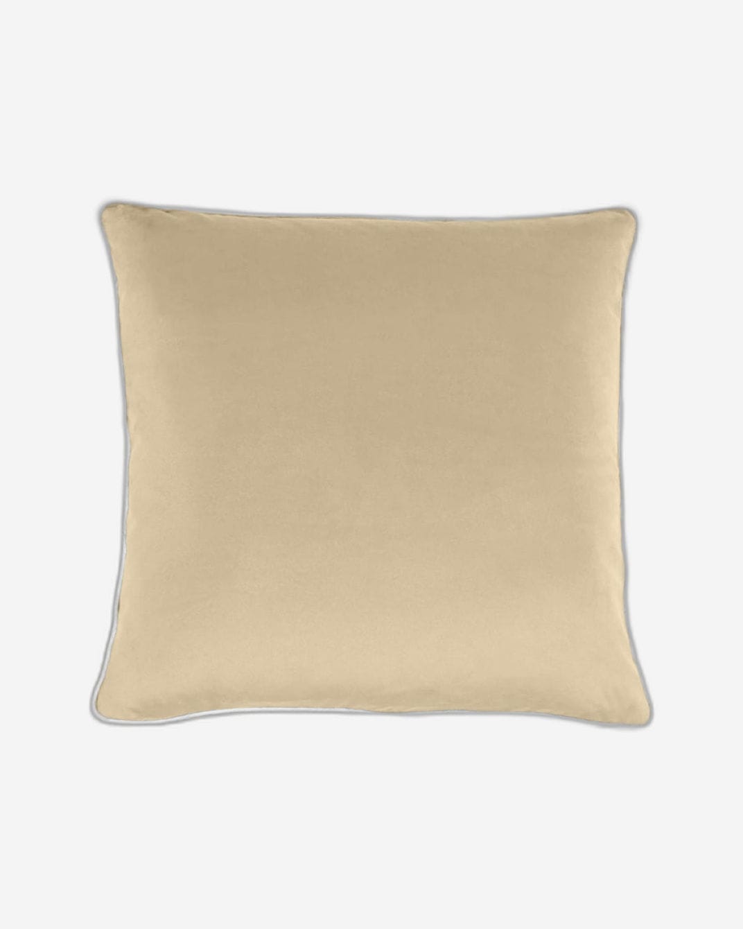 Cotton Home Cushion 2Pc Velvet