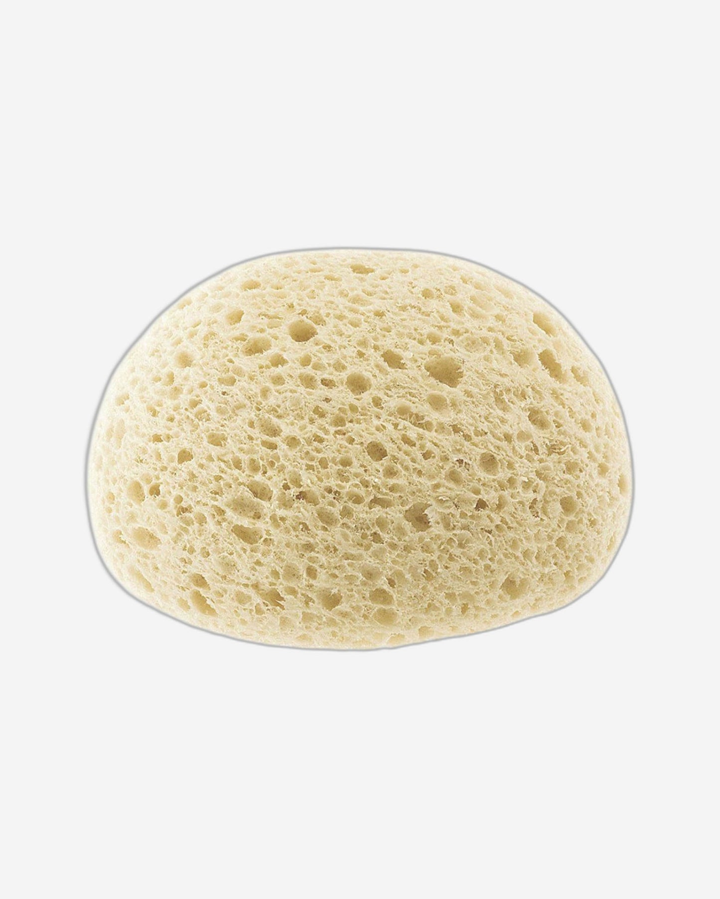 CHICCO SAFE HYGIENE EXTRA ABSORBENT SPONGE