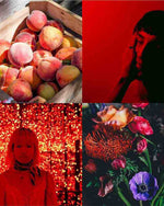 Colour Me Perfumer's Choice Phoenix No.4 EDP 83ml