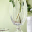 Decorium Accademia Platinum Vase