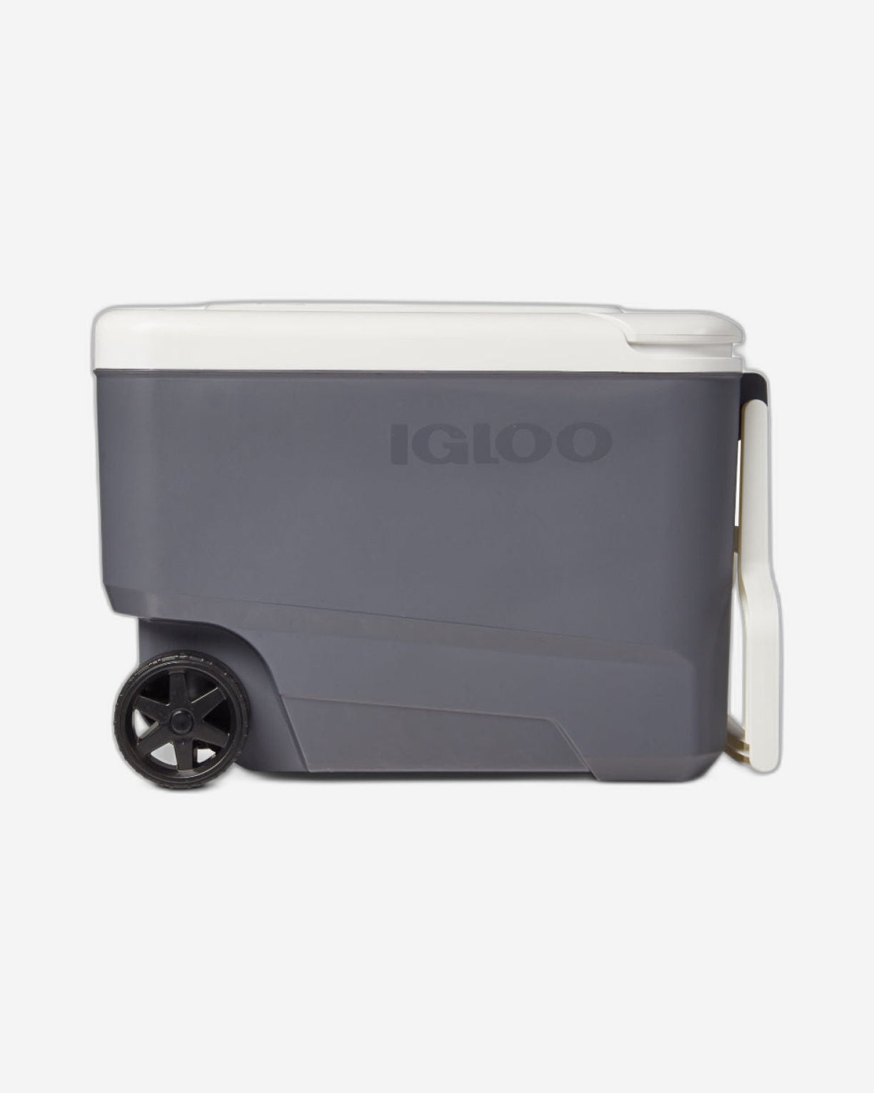 Igloo-Versatemp™ 35 Qt Wheeled Electric Cooler Box - Carbonite