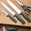 Fissman Knife Agave 5Pc