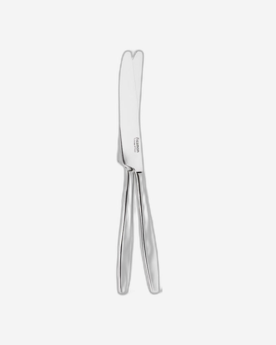 Fissman 2-Piece Dinner Knife 23cm, 18/10  Stainless Steel Cutlery Set TRENTO Series