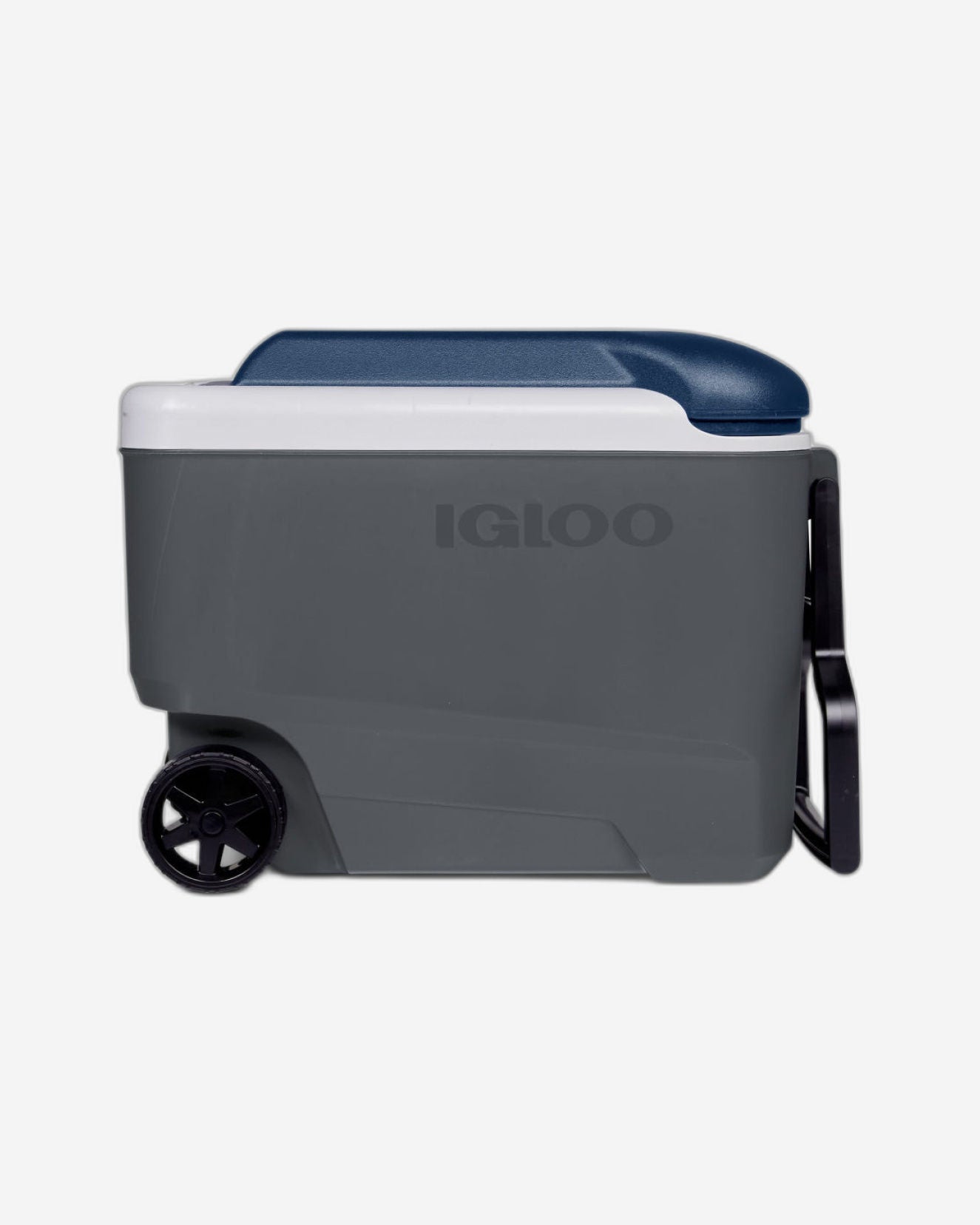 Igloo - Maxcold 40 Roller  - Carbonite / 
Aegean Sea