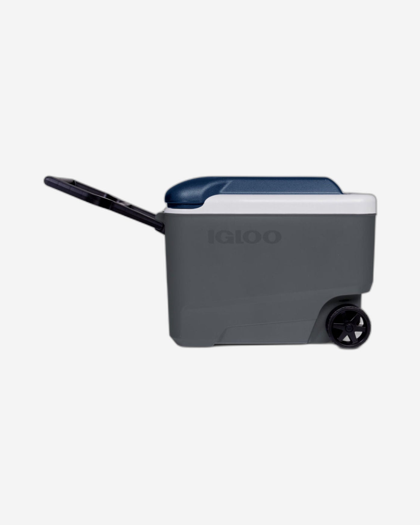 Igloo - Maxcold 40 Roller  - Carbonite / 
Aegean Sea