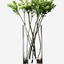 LSA Column Clear Vase/Candleholder 36cm