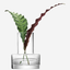 LSA Metropole Clear Riga Vase