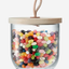LSA Ivalo Clear Container & Ash Lid H15.5cm
