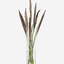 LSA Clear Wicker Vase H20cm