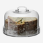 LSA Clear Serve Plate with Dome