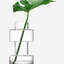 LSA Metropole Clear Kaliningrad Vase