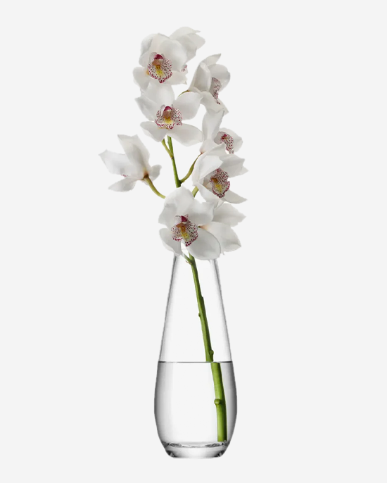 LSA Flower Tall Stem Vase Clear