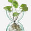 LSA Clear Canopy Vase H24cm