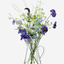 LSA Clear Flower Jug Vase