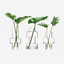 LSA Metropole Clear City Vase Set